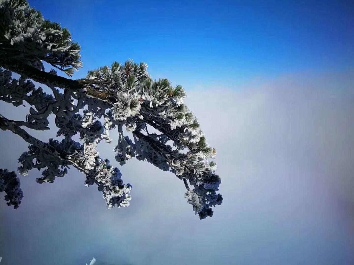 Joymoon Hotel Huangshan Dış mekan fotoğraf